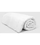 Blanket Soft Night Aloe Vera order